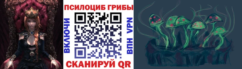 Купить где  Костерёво  Галлюциногенные грибы прущие грибы 