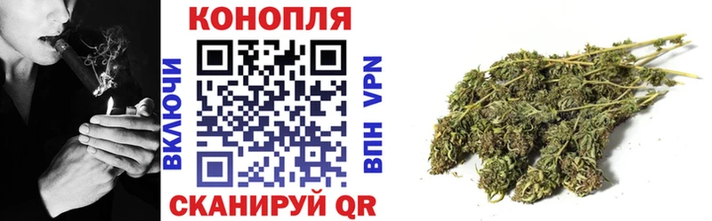 Купить  Костерёво  Шишки марихуана VHQ 